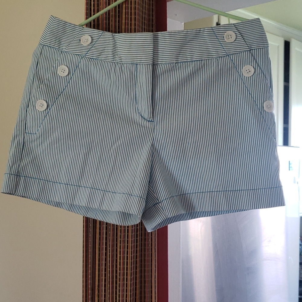 Ann Taylor Loft The Riviera Short